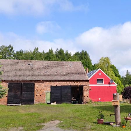 Ferienwohnung&Campingplatz VOR DEM BERG Heideblick Exterior foto